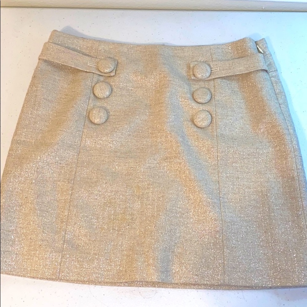 formal skirt